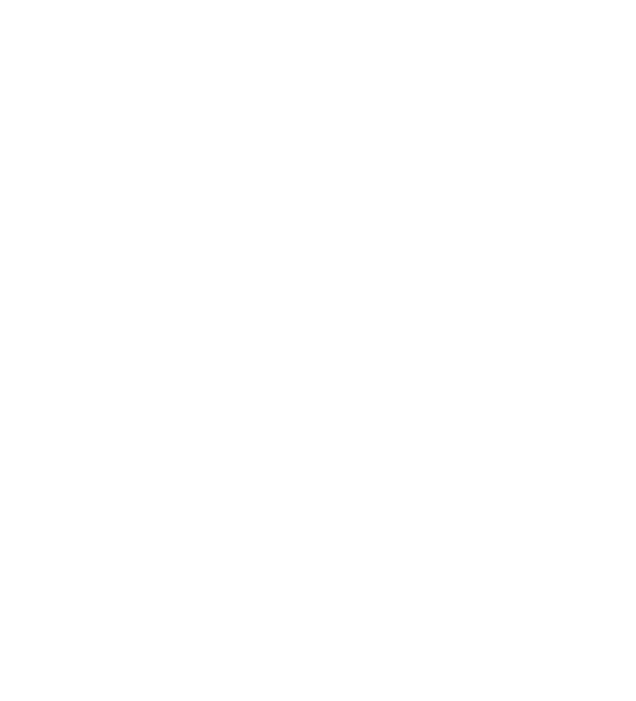 Partner 25